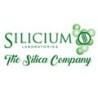 Silicium