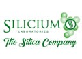 Silicium